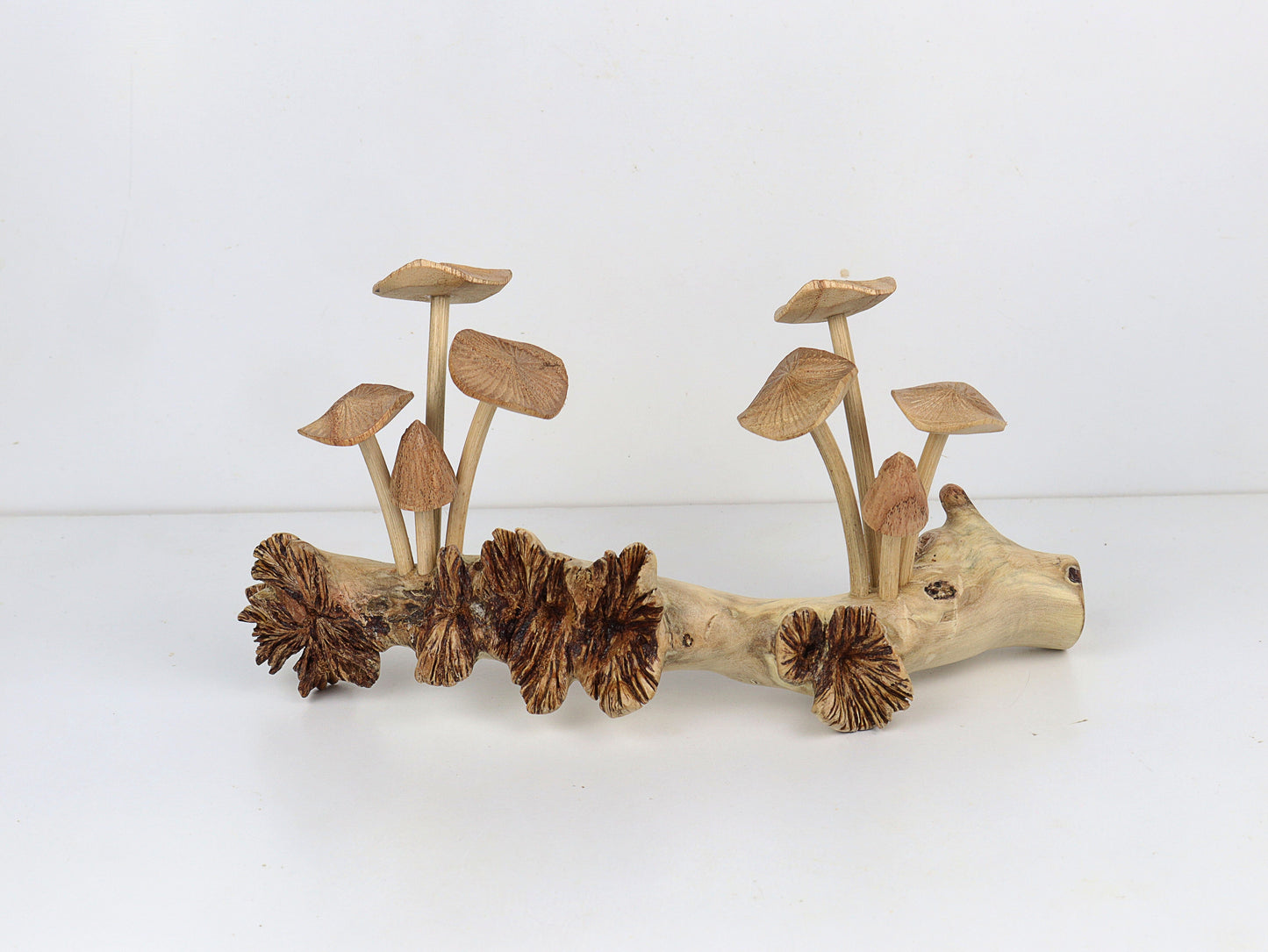 Hand-Carved Natural Wood Fanned Mushroom Log Sculpture - Horizontal Woodland Display