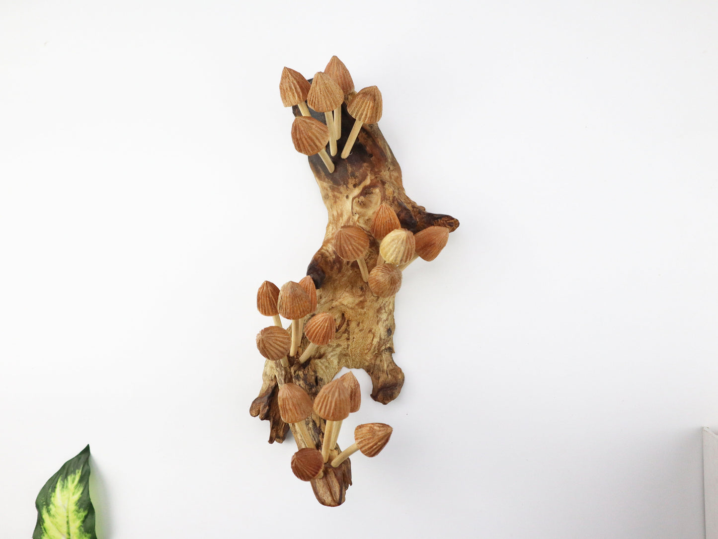 Hand-carved mushroom wall art on natural driftwood from Bali – rustic woodland home decor