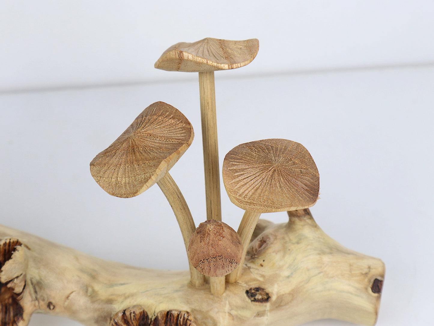 Hand-Carved Natural Wood Fanned Mushroom Log Sculpture - Horizontal Woodland Display