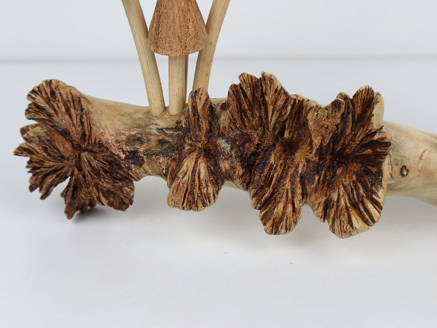 Hand-Carved Natural Wood Fanned Mushroom Log Sculpture - Horizontal Woodland Display
