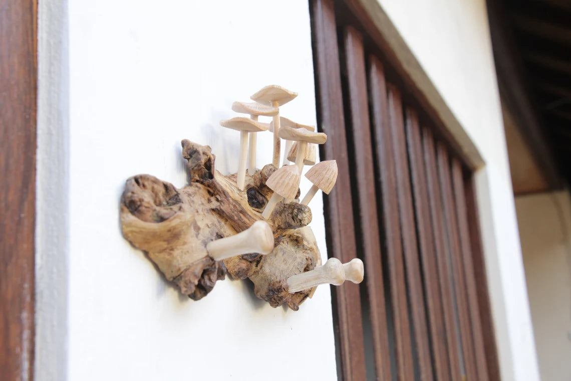 Mushroom wall hooks