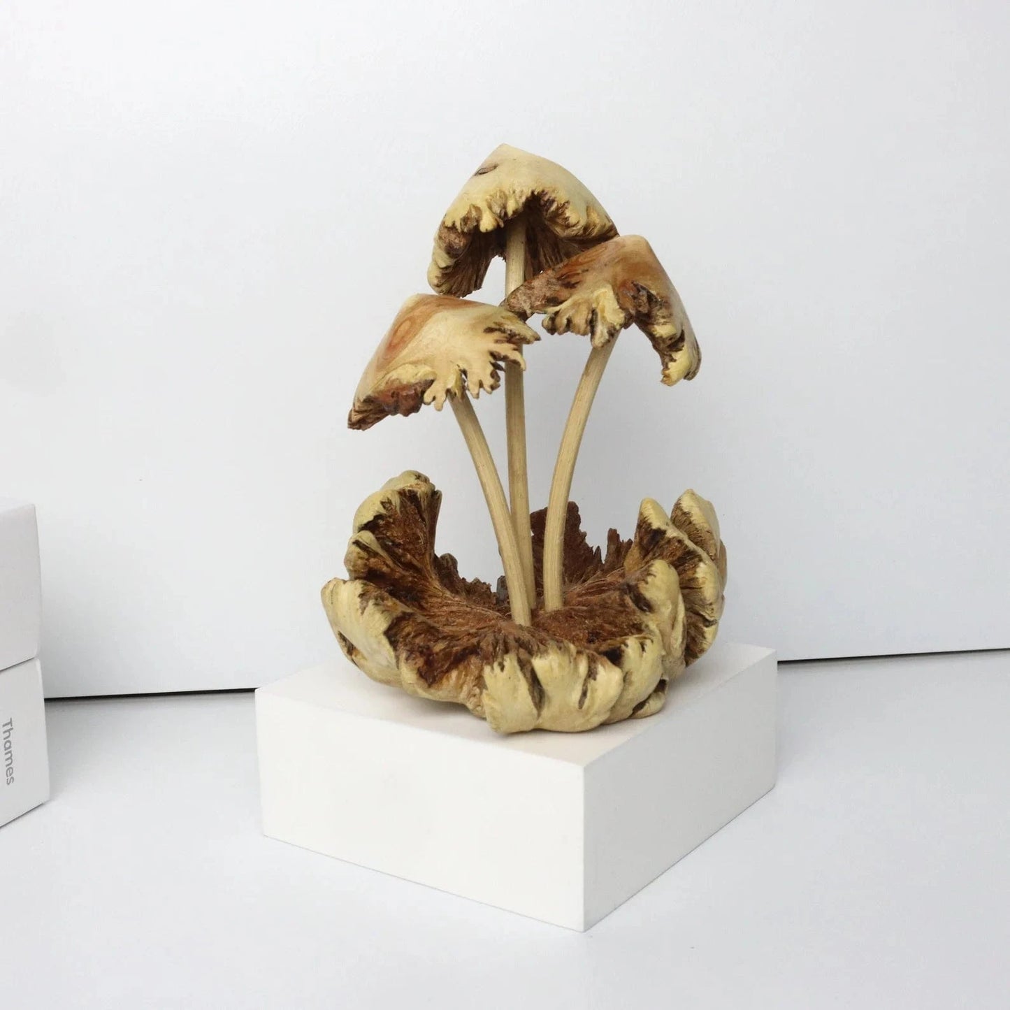 Hand-carved wooden mushroom sculpture with realistic gilled caps on natural driftwood base, handmade in Bali.