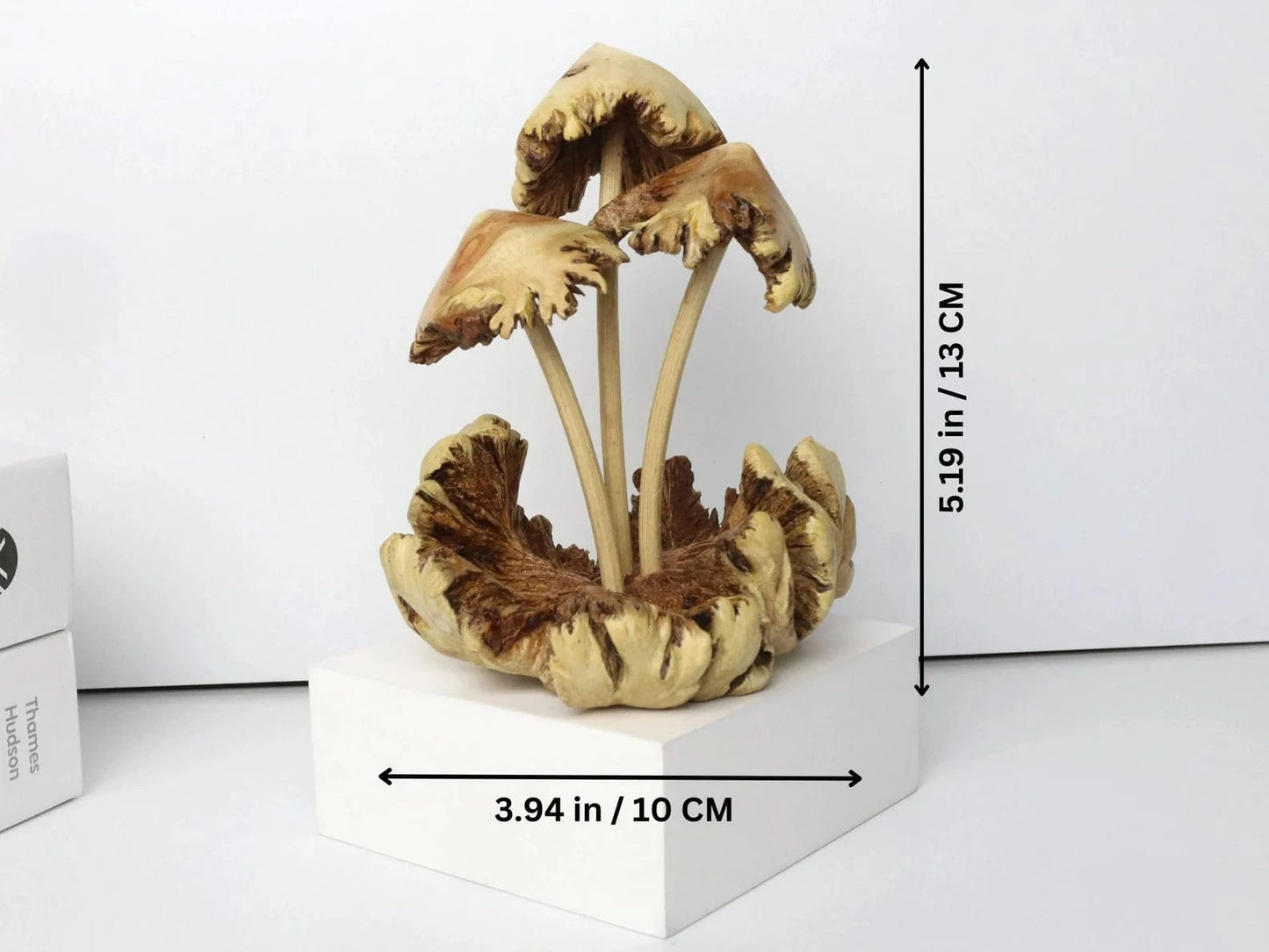 Hand-carved wooden mushroom sculpture with realistic gilled caps on natural driftwood base, handmade in Bali.
