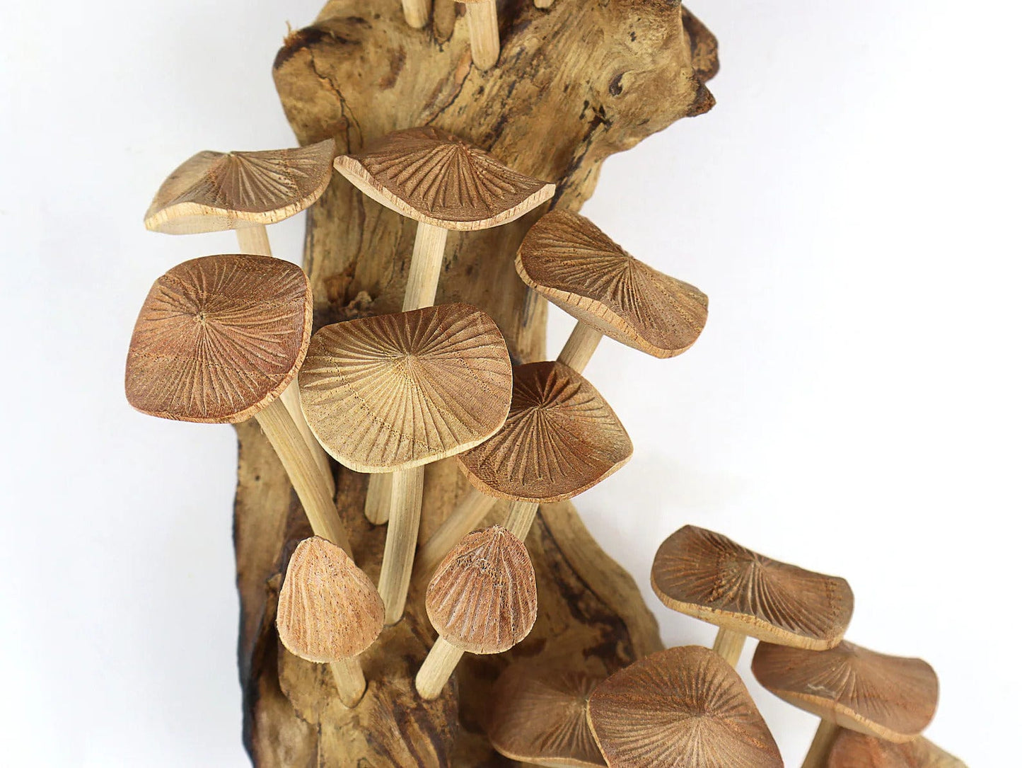 Handmade Wooden Mushroom Wall Art – Large 15” Rustic Driftwood Decor