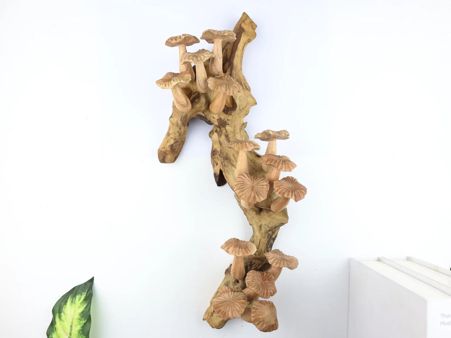Large 15 inch wooden mushroom wall hanging on natural driftwood – handcrafted art from Bali