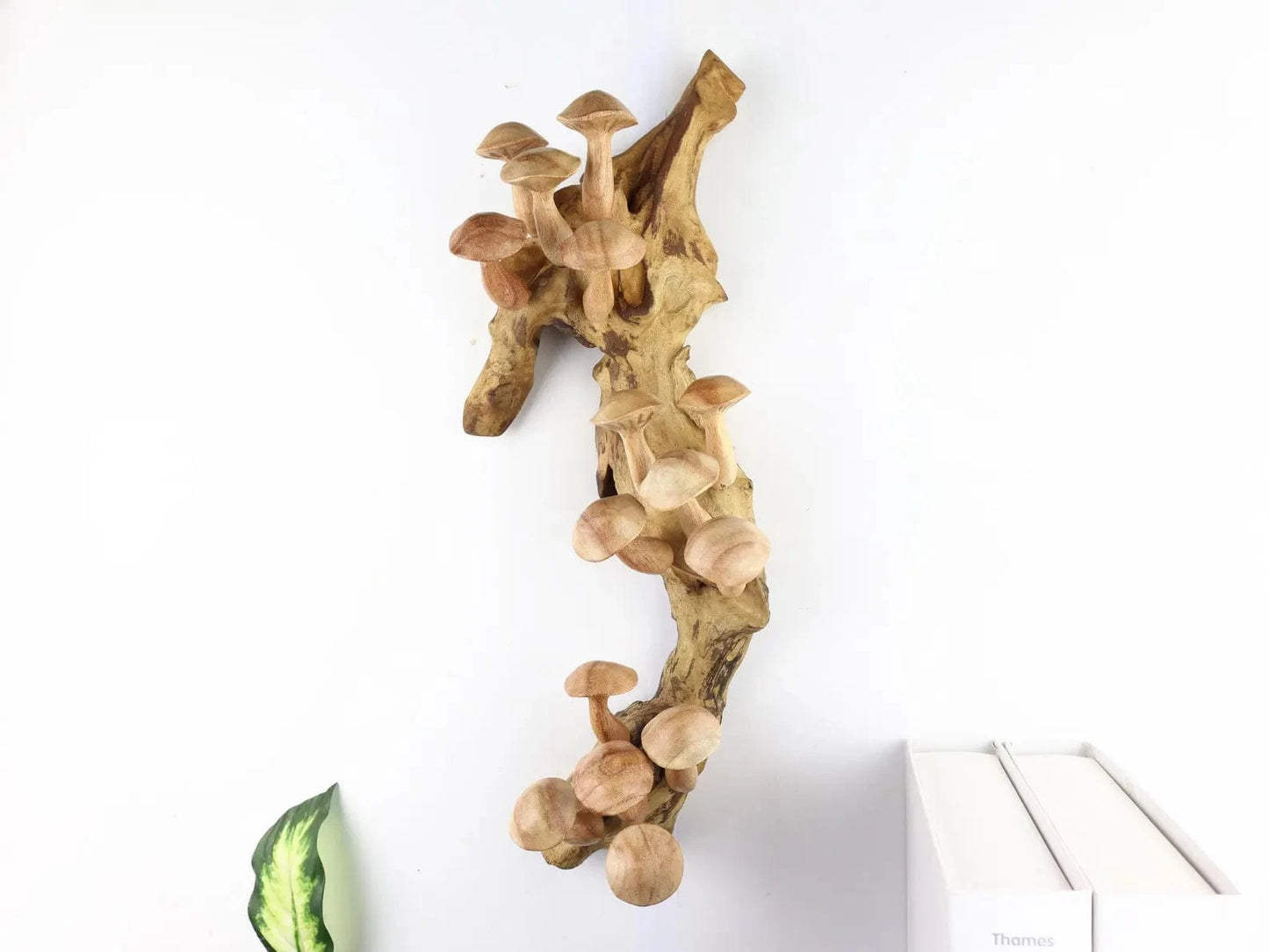 15" Large Hand-Carved Mushroom Wall Art – Driftwood Sculpture from Bali
