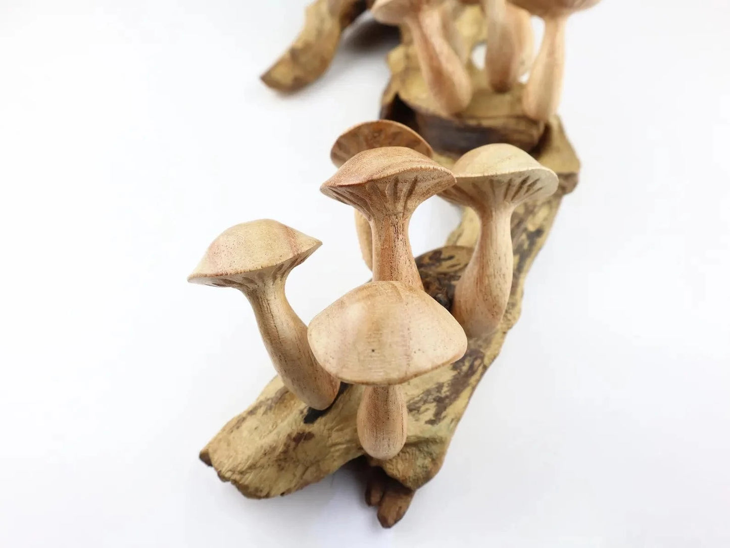 15" Large Hand-Carved Mushroom Wall Art – Driftwood Sculpture from Bali