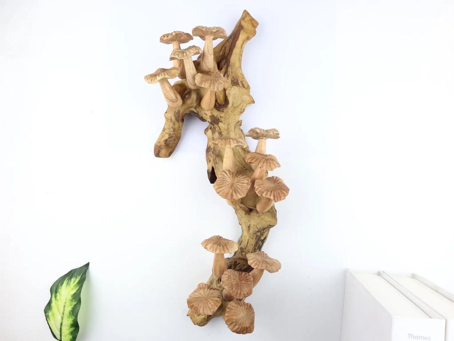 Large 15 inch wooden mushroom wall hanging on natural driftwood – handcrafted art from Bali