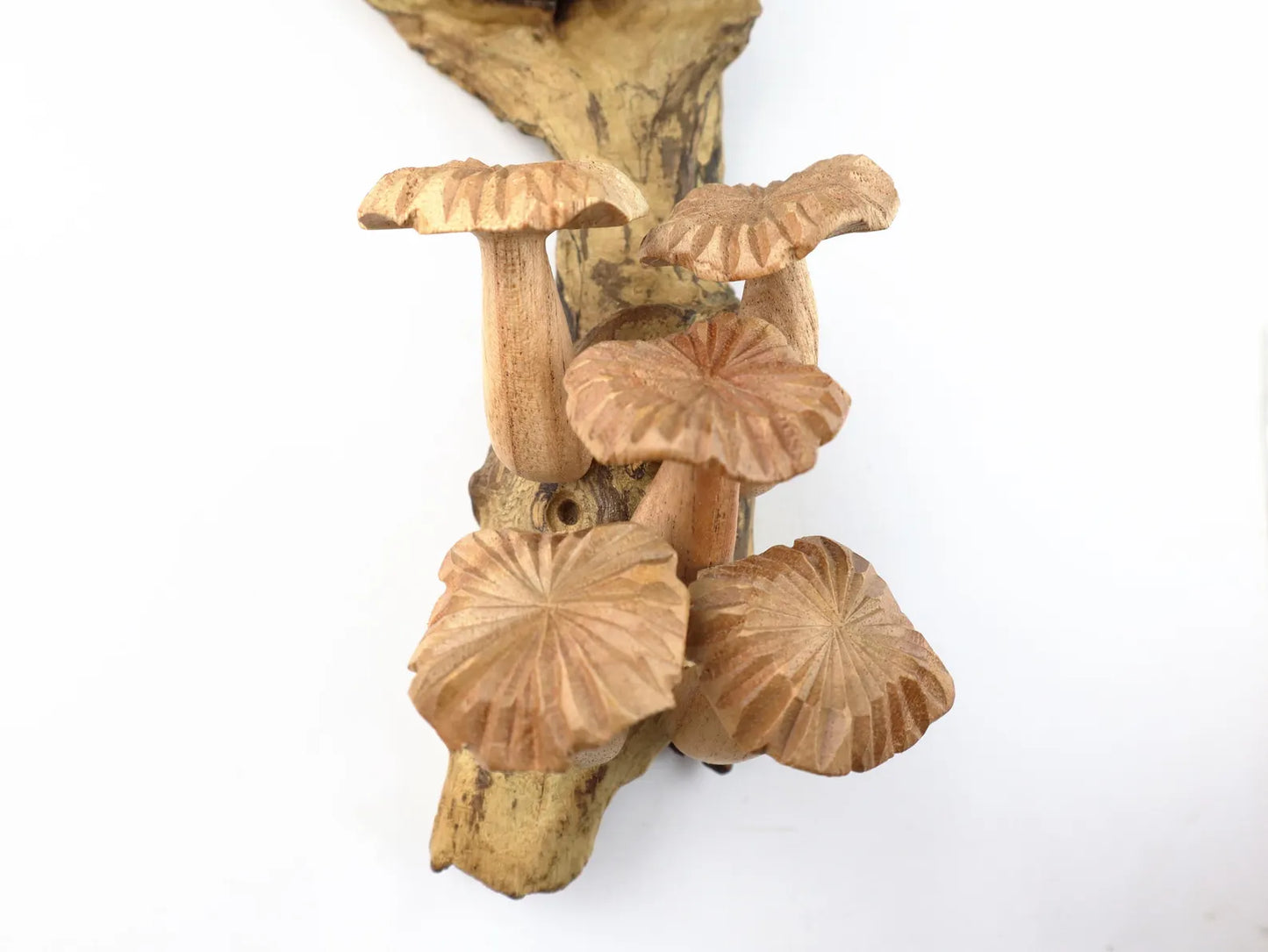 Large Wooden Mushroom Wall Hanging – 15" Hand-Carved Natural Driftwood Sculpture