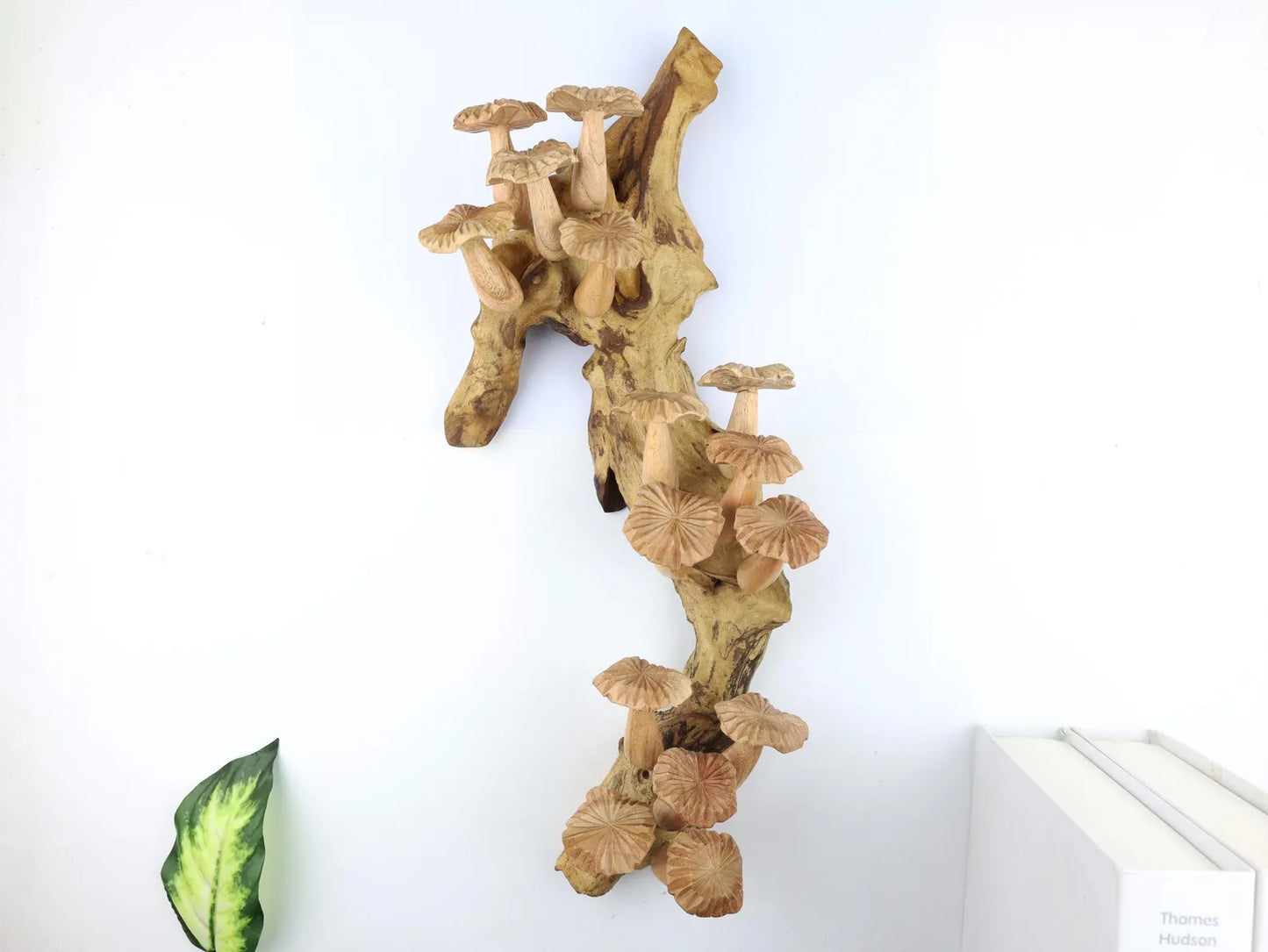 Large Wooden Mushroom Wall Hanging – 15" Hand-Carved Natural Driftwood Sculpture
