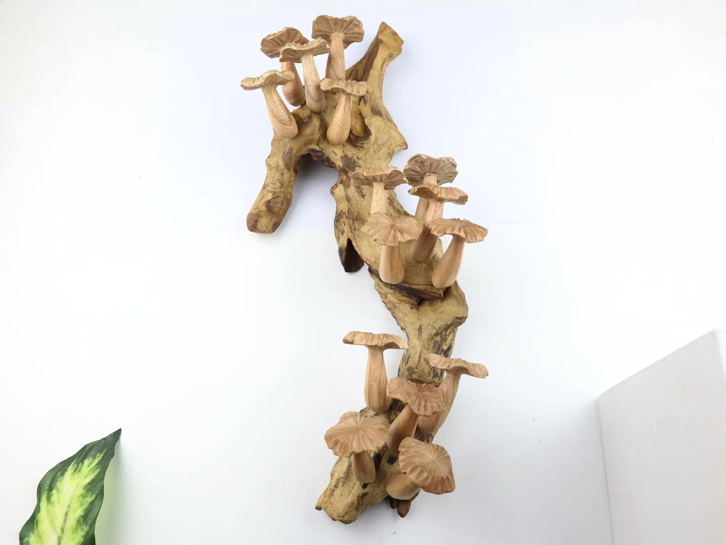 Large Wooden Mushroom Wall Hanging – 15" Hand-Carved Natural Driftwood Sculpture