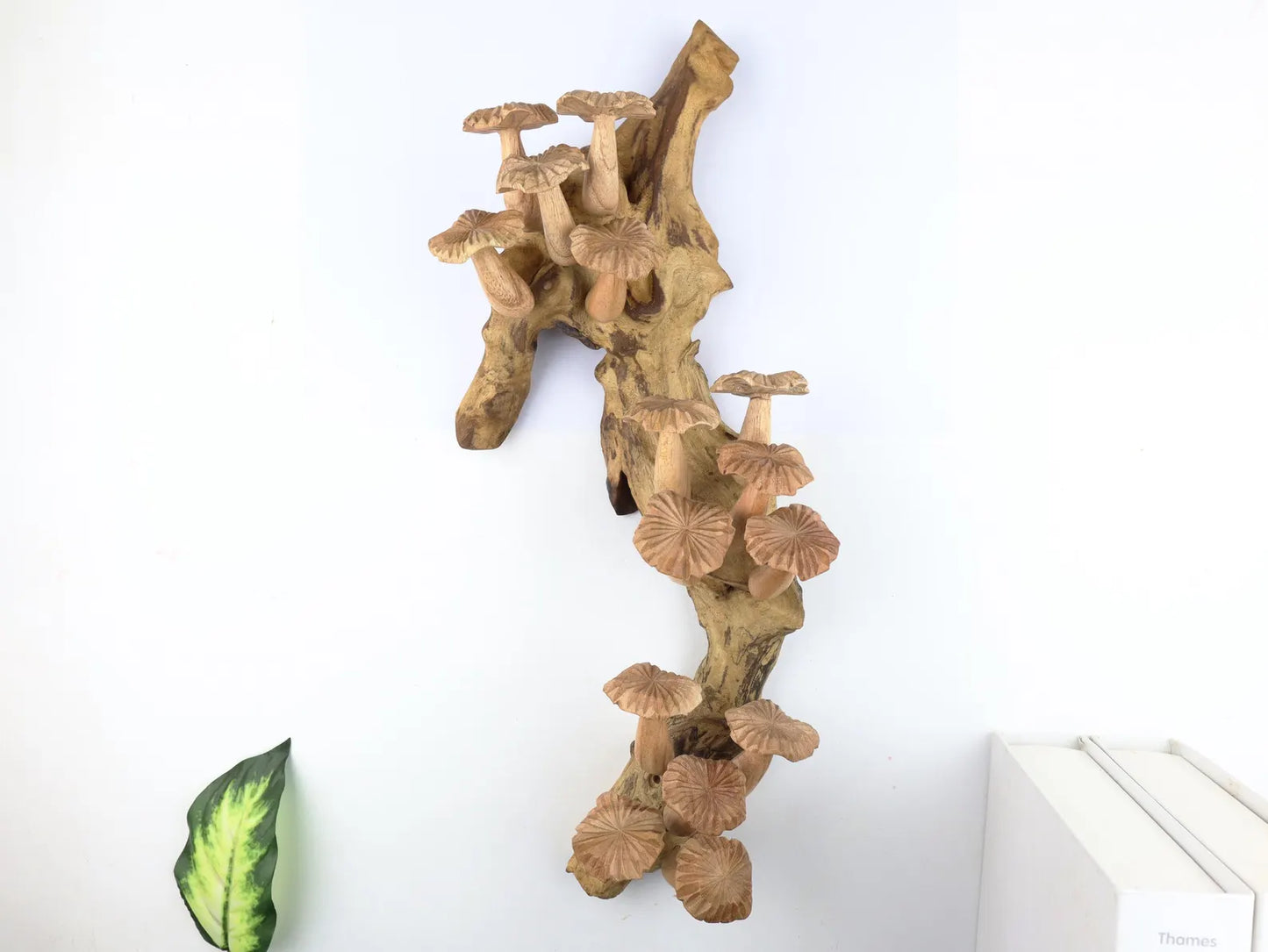 Large Wooden Mushroom Wall Hanging – 15" Hand-Carved Natural Driftwood Sculpture