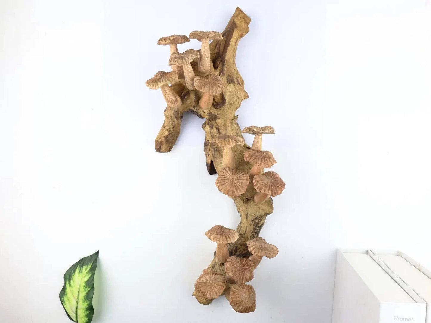 Large Wooden Mushroom Wall Hanging – 15" Hand-Carved Natural Driftwood Sculpture