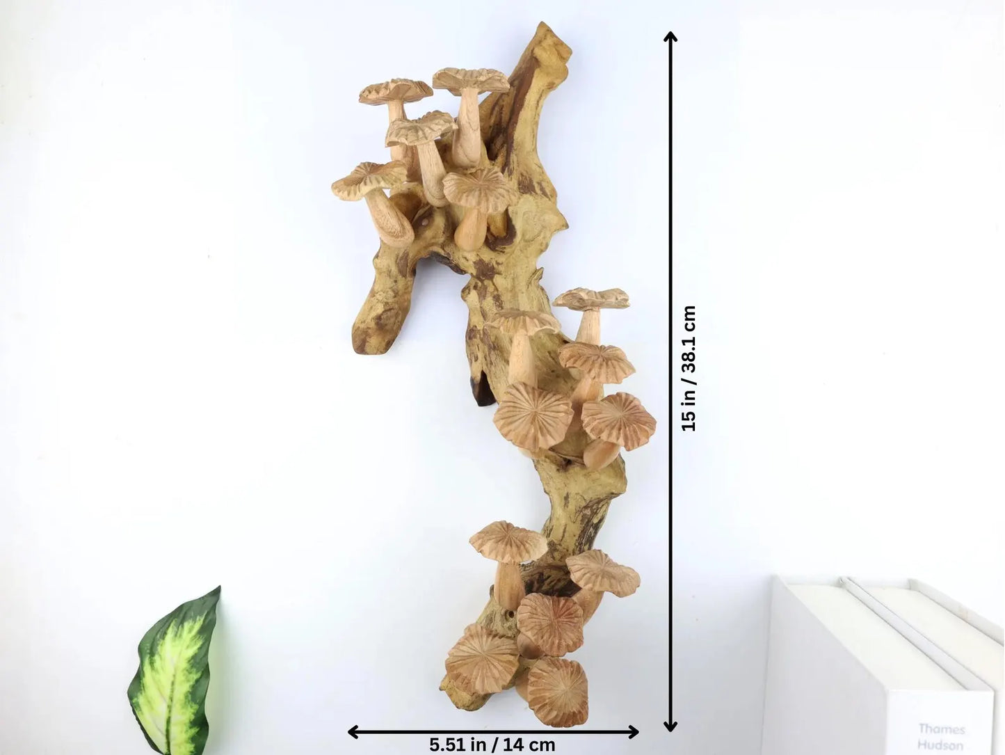 Large 15 inch wooden mushroom wall hanging on natural driftwood – handcrafted art from Bali