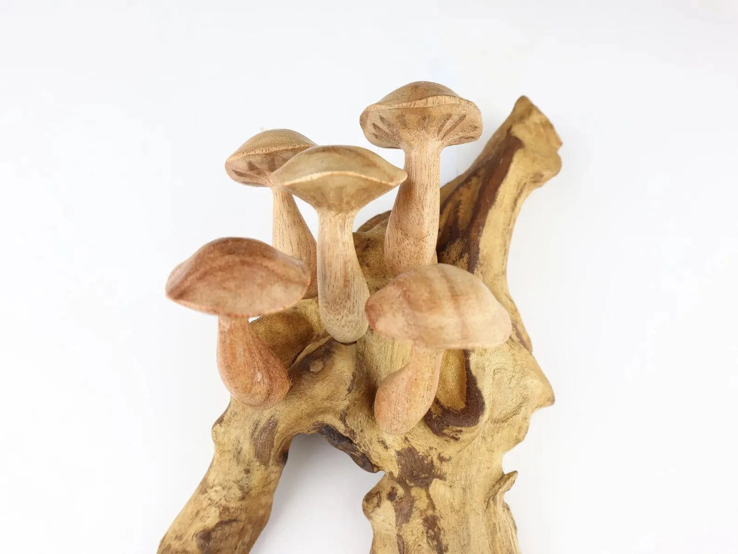 15" Large Hand-Carved Mushroom Wall Art – Driftwood Sculpture from Bali