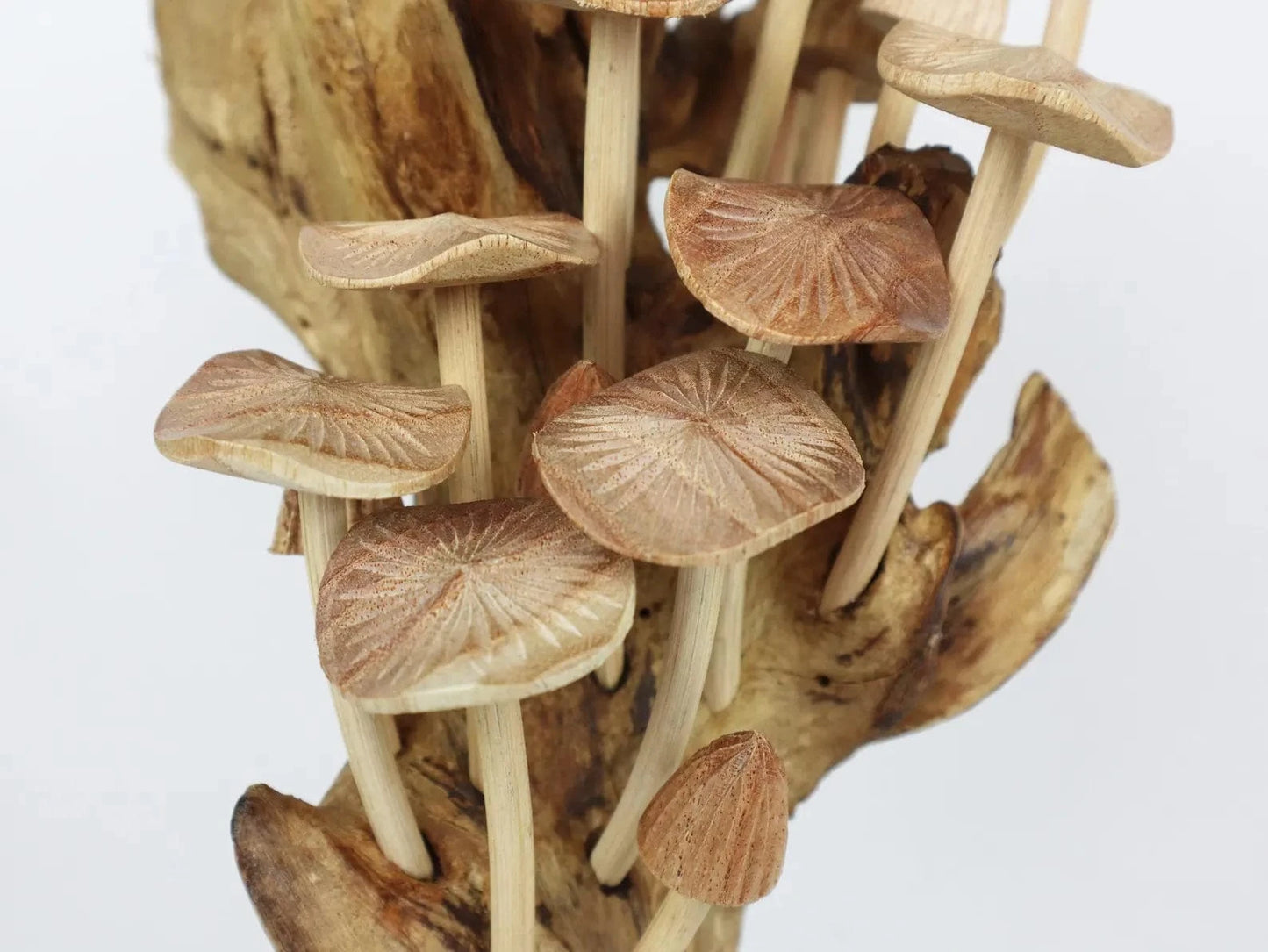 Hand-Carved Mushroom Sculpture on Driftwood Base – Tall Wooden Wall Art from Bali