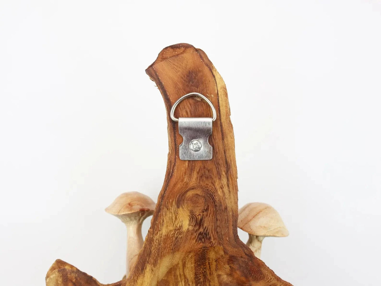 Hand-Carved Wooden Mushroom Wall Hanging – Rustic Driftwood Decor from Bali