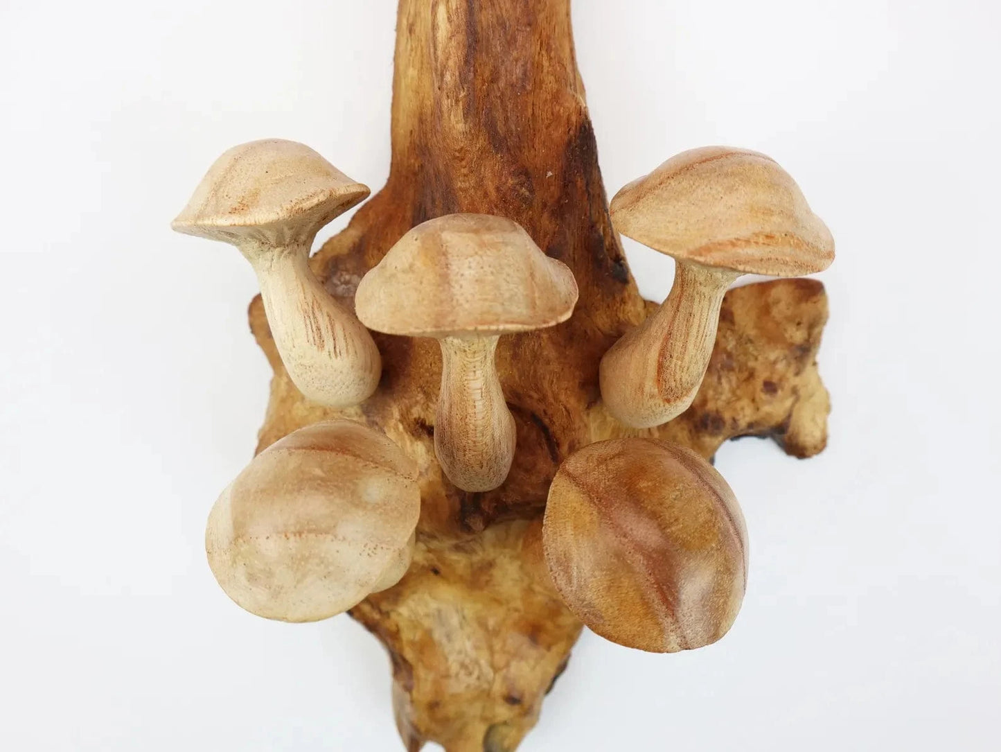 Hand-Carved Wooden Mushroom Wall Hanging – Rustic Driftwood Decor from Bali
