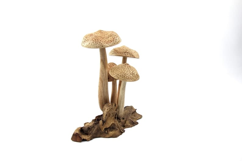 Natural Wood Mushroom Sculpture | Rustic Woodland Decor | Hand-Carved Forest Art