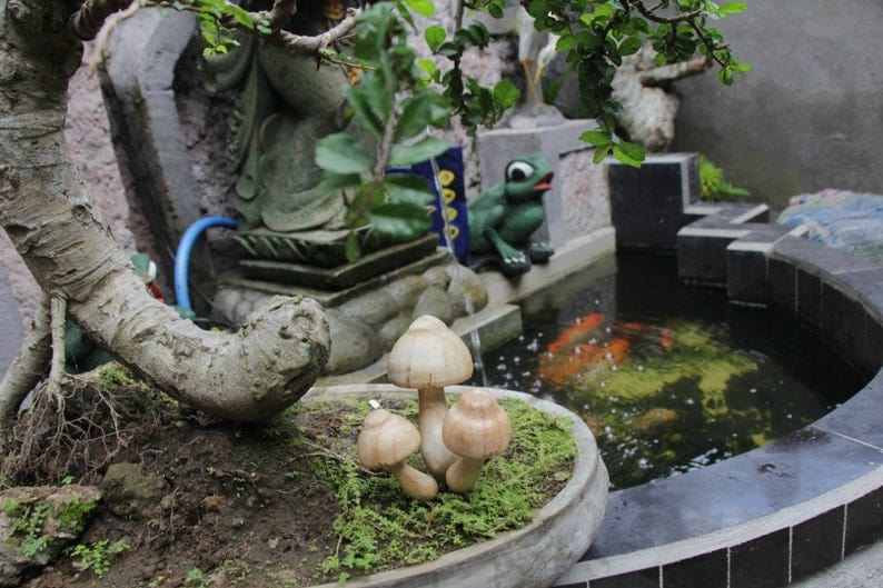 Hand-Carved Natural Wood Mushroom Stakes - Garden & Planter Decor