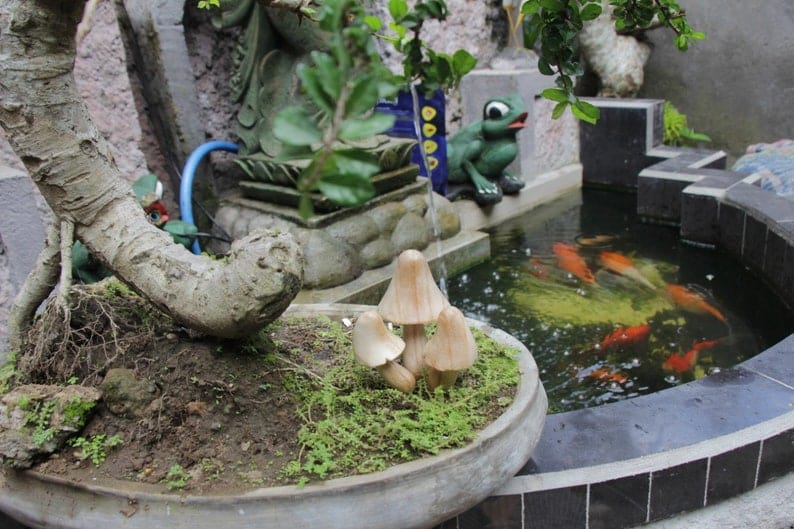 Hand-Carved Natural Wood Mushroom Stakes - Garden & Planter Decor