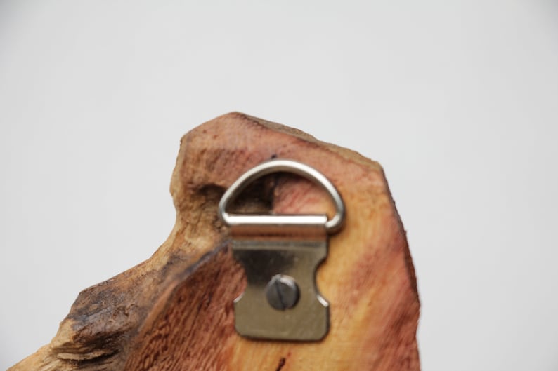 Hand Carved Wood Dolphin Wall Art