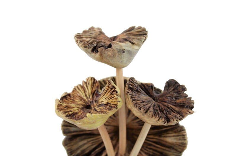 Wooden Hummingbird Feeding on Flower