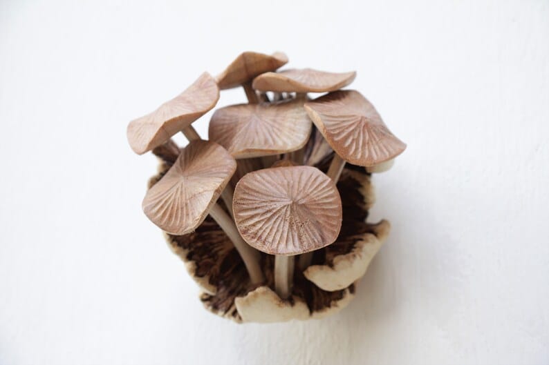 Hand-Carved Wooden Pleated Mushroom Cluster Sculpture - Rustic Table Decor