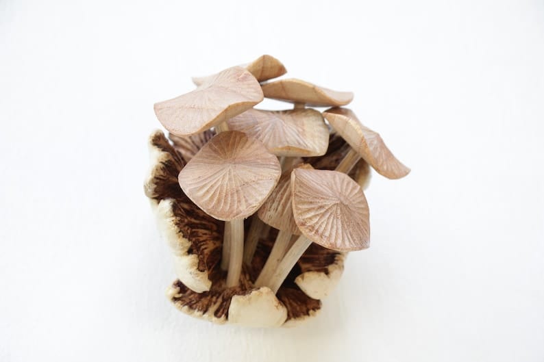 Hand-Carved Wooden Pleated Mushroom Cluster Sculpture - Rustic Table Decor
