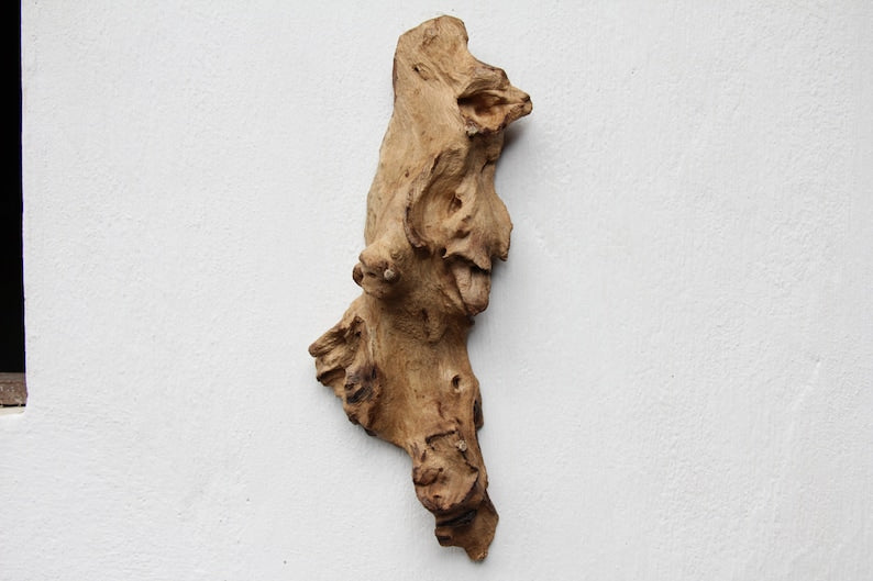 Hand Carved Wood Dolphin Wall Art