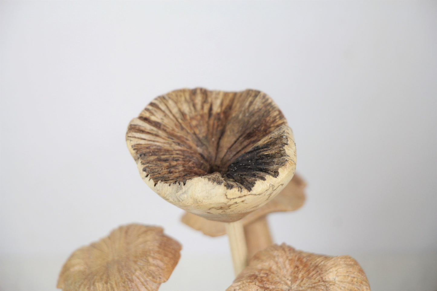 Wooden Mushroom Sculpture, Forest, Nature, Statue, Wood Carving, Figurine, Home Deco, Ornament, Unique, Birthday Gift, Handmade Gift Deco