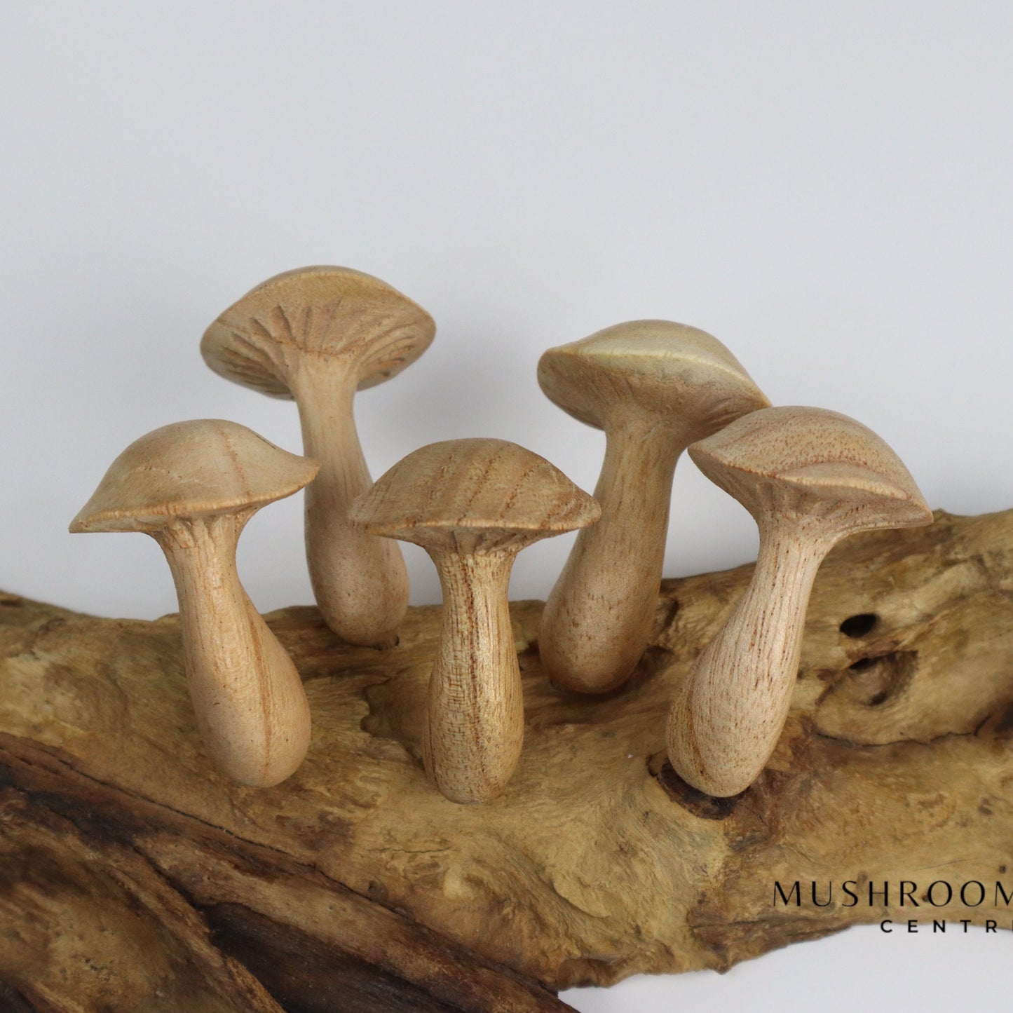 Wooden Hooks With Mushroom Wall Art, Mushroom Hook For Accessories, Vintage Wood Wall Hook, Mushroom Wall Art, Unique Hook, Handmade Gift