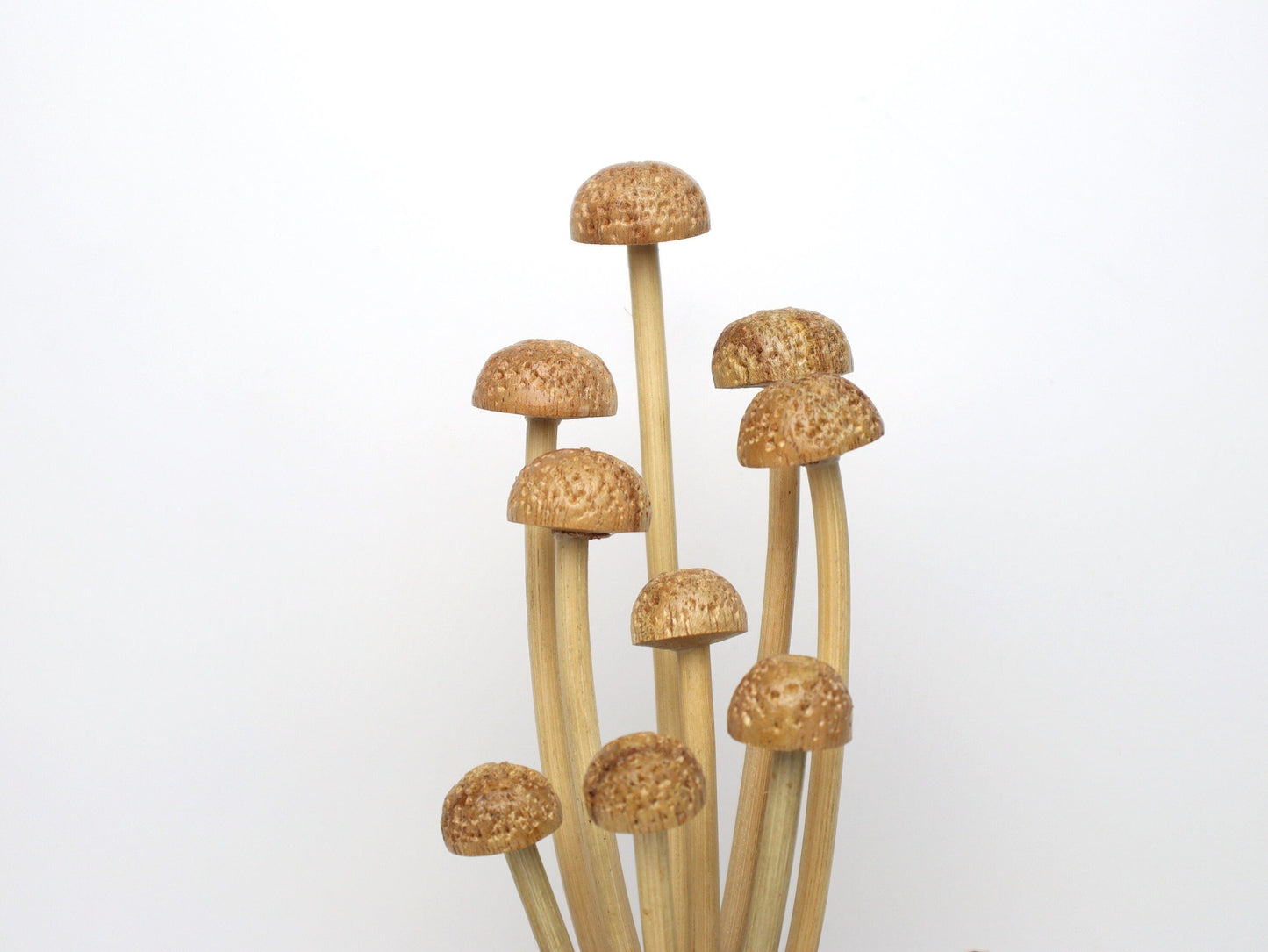 Hand-Carved Wooden Enoki Mushroom Sculpture - Delicate Rustic Home Decor