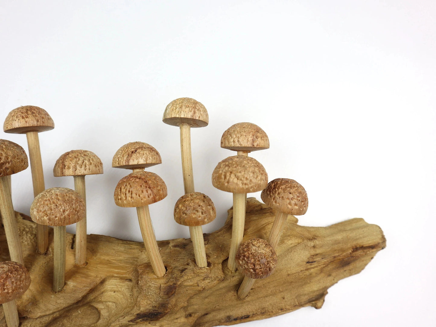 Large Hand-Carved Wooden Mushroom Cluster on Natural Log - Rustic Forest Display