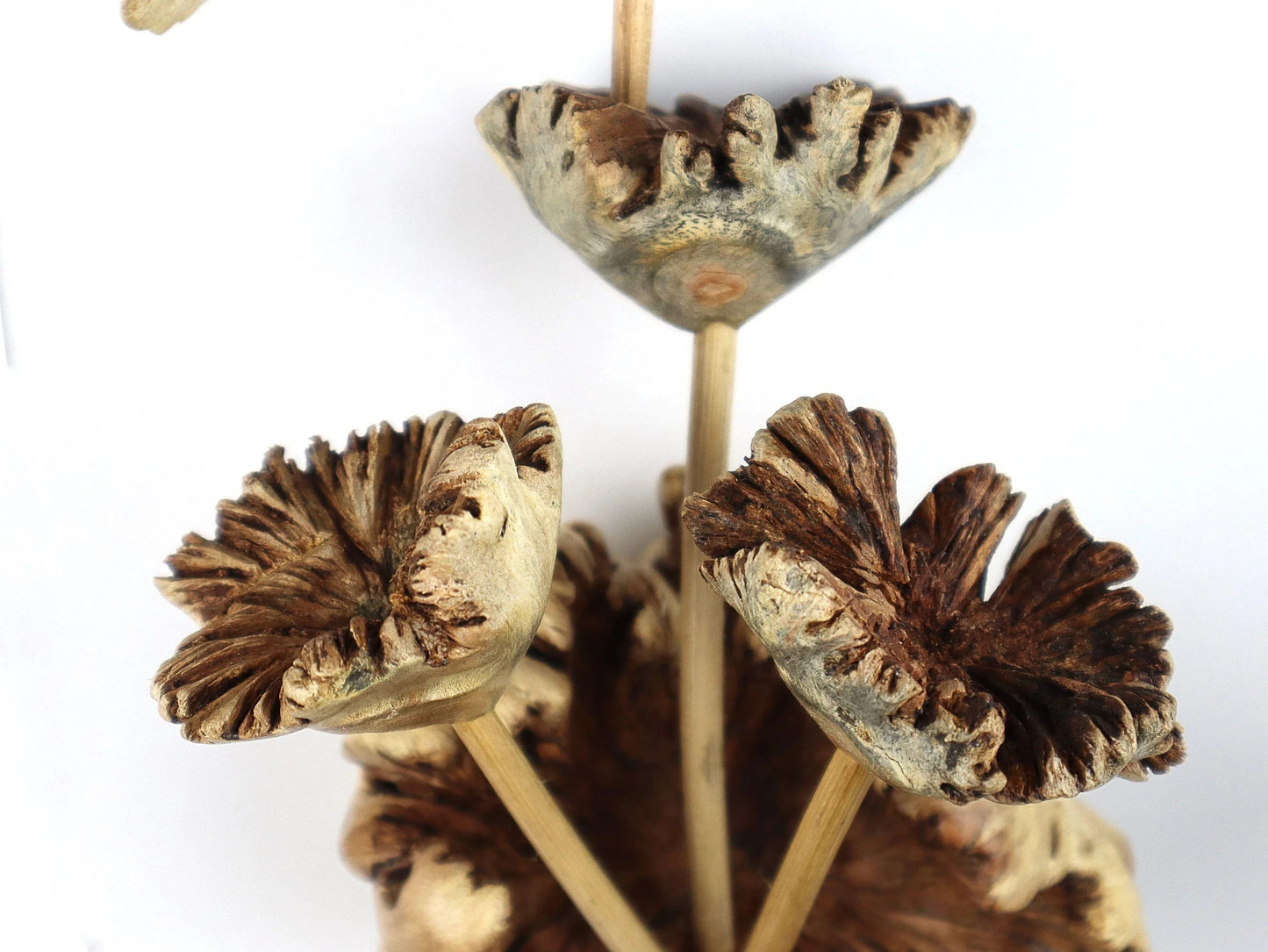 Hand-Carved Wooden Hummingbird & Flower Sculpture - Natural Wall Art Display