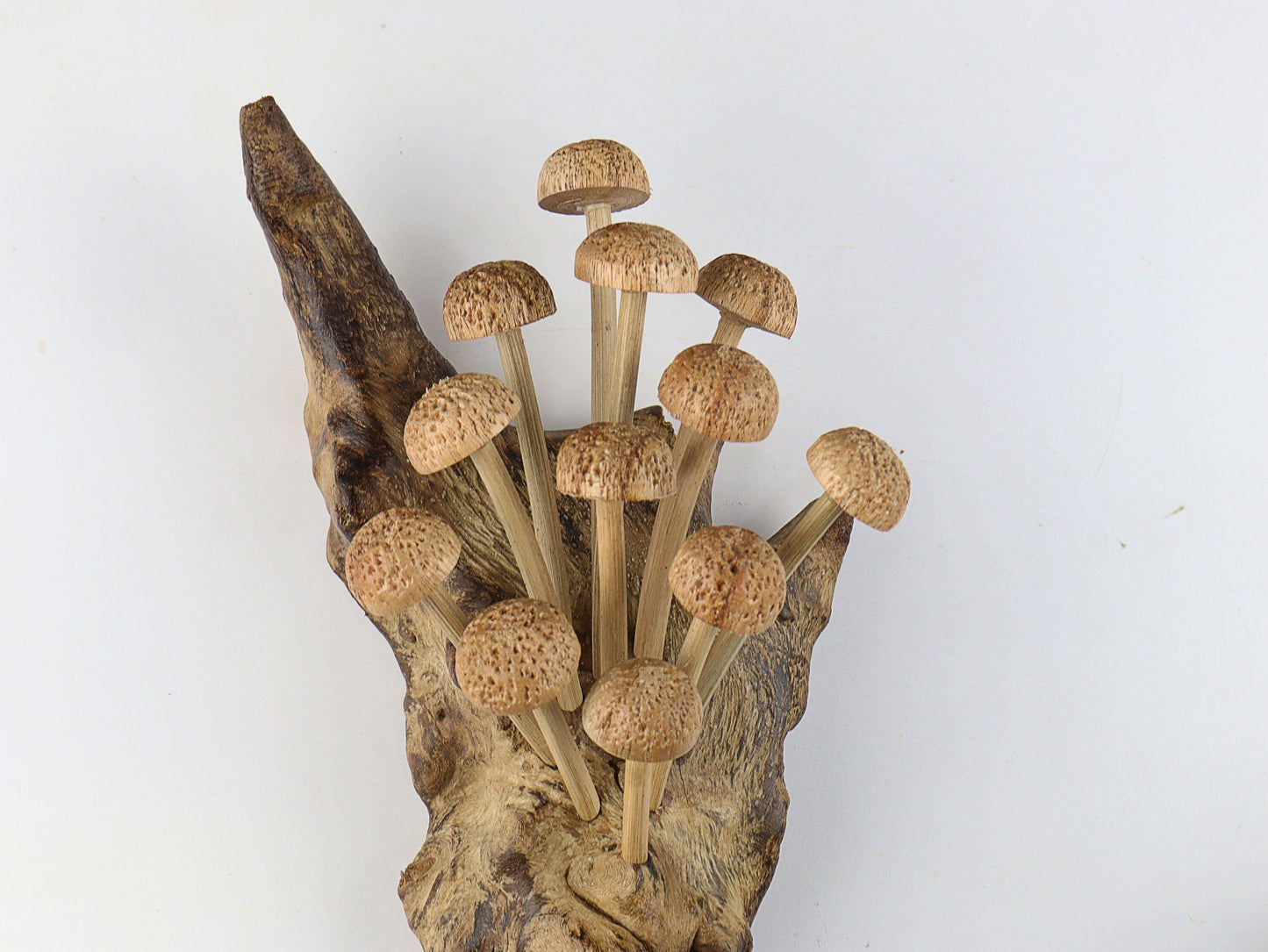 Hand-Carved Natural Wood Textured Mushroom Cluster Wall Art - Vertical Woodland Display
