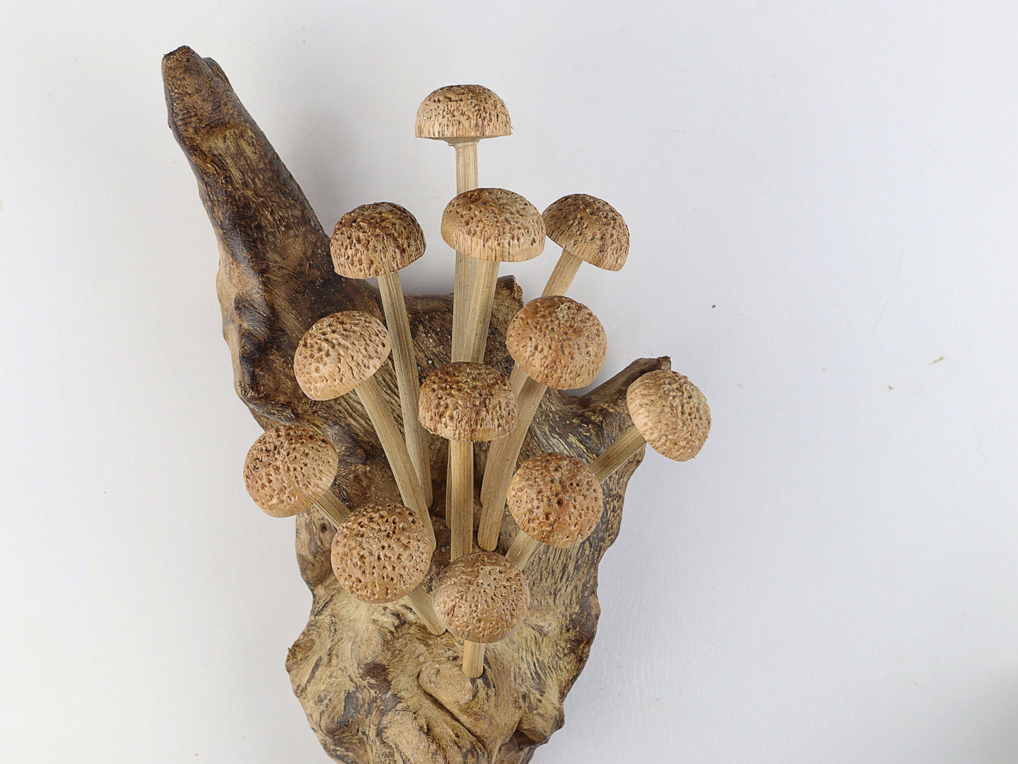 Hand-Carved Natural Wood Textured Mushroom Cluster Wall Art - Vertical Woodland Display