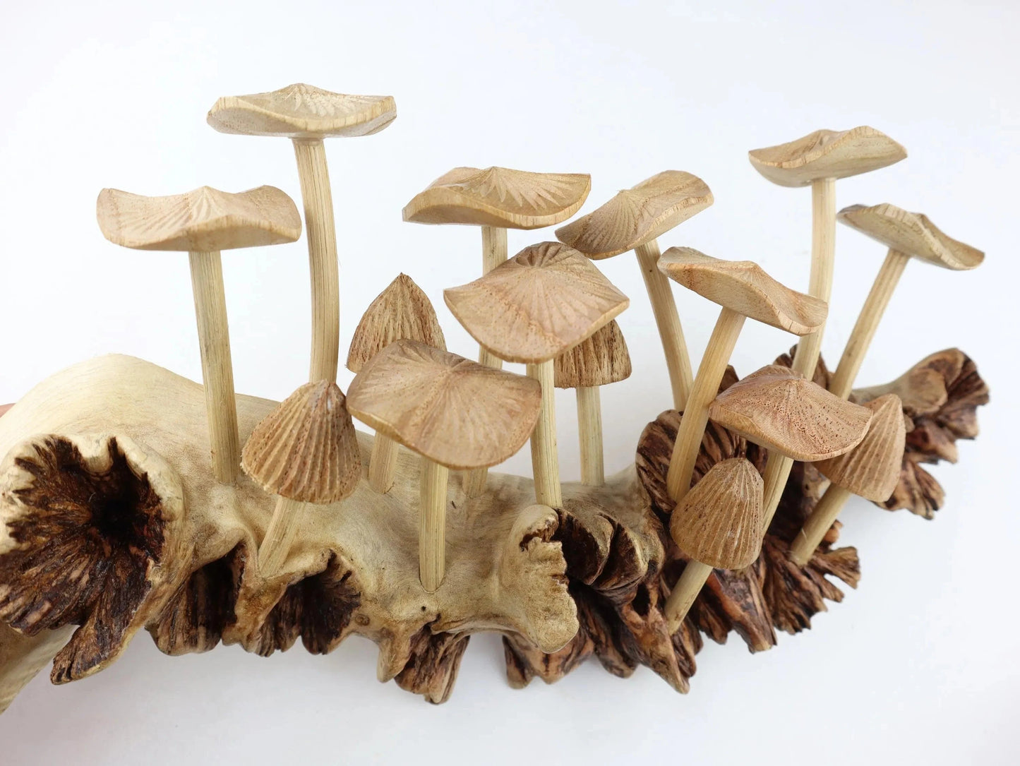 Hand-Carved Natural Wood Fanned Mushroom Log Sculpture - Horizontal Woodland Centerpiece