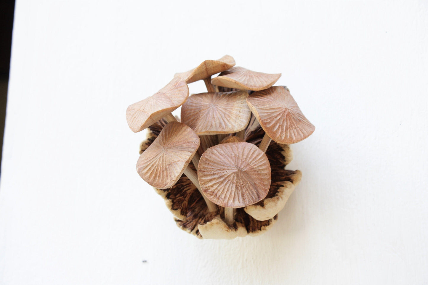 Hand-carved natural wooden sculpture featuring a cluster of mushrooms with detailed fanned or pleated caps on a textured wood base, rustic tabletop decor.