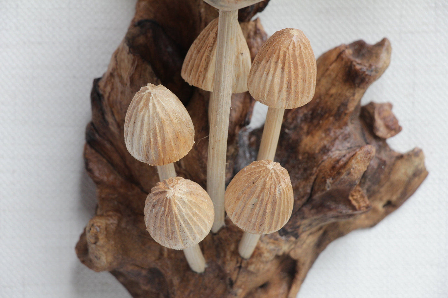 Wall Deco Hummingbird On Mushroom