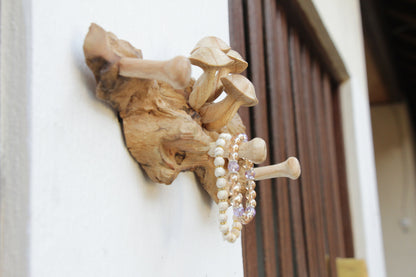Wooden Hooks With Mushroom Wall Art