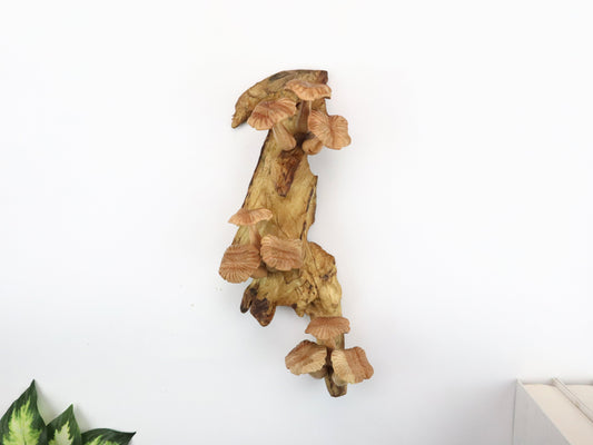 Hand-Carved Natural Wood Mushroom Wall Art - Vertical Forest Accent
