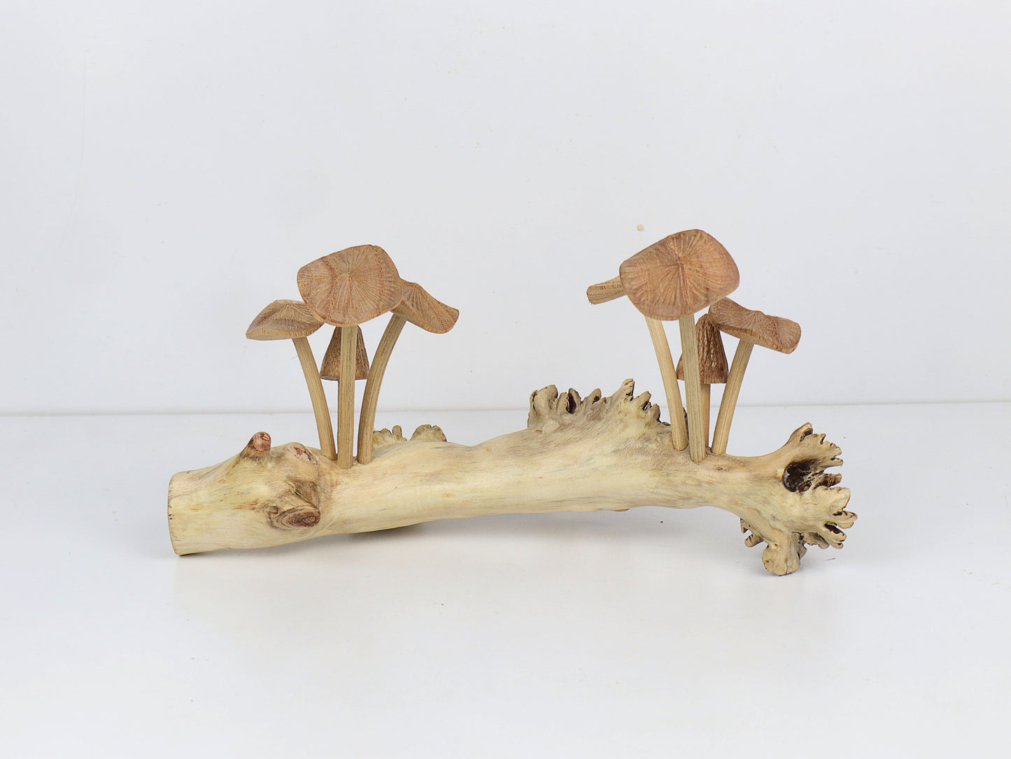 Hand-Carved Natural Wood Fanned Mushroom Log Sculpture - Horizontal Woodland Display