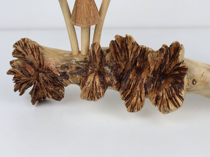 Hand-Carved Natural Wood Fanned Mushroom Log Sculpture - Horizontal Woodland Display