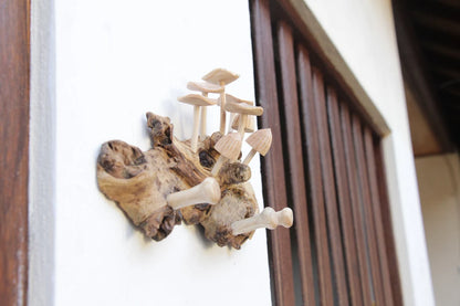 Mushroom wall hooks