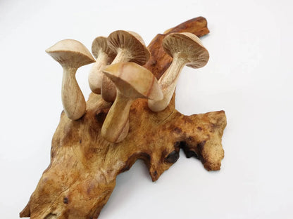 Hand-Carved Wooden Mushroom Wall Hanging – Rustic Driftwood Decor from Bali
