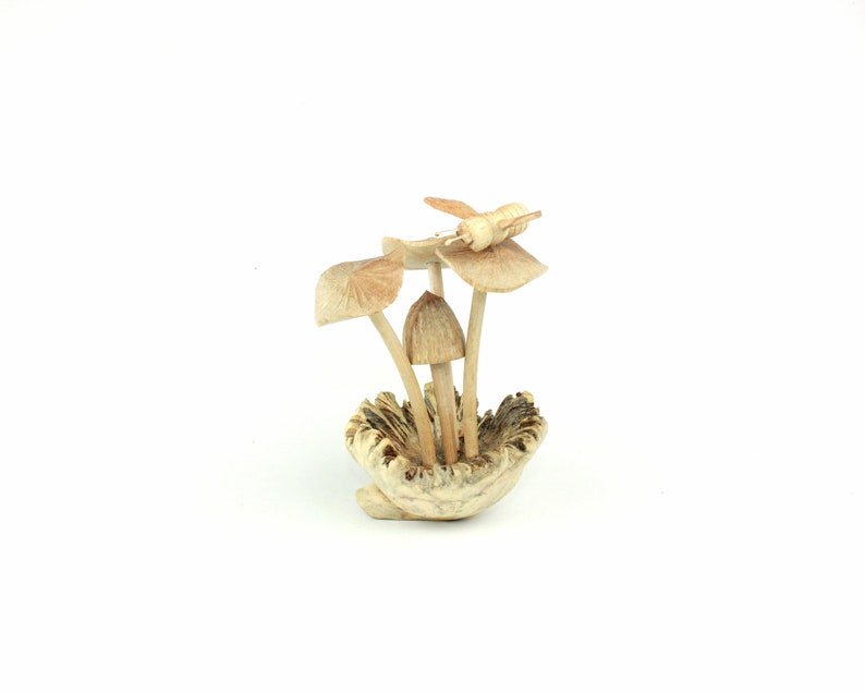 Mushroom with Bee On Parasite Wood