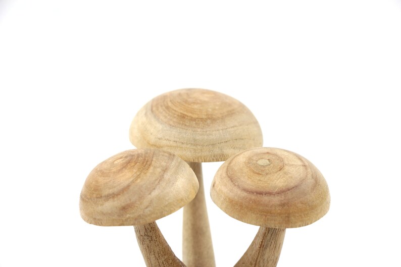 Carved Wood Mushroom Table Deco