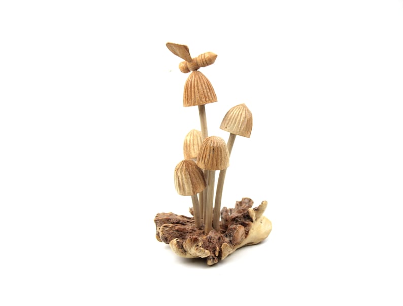 Buds Mushroom with Bee on Parasite Wood