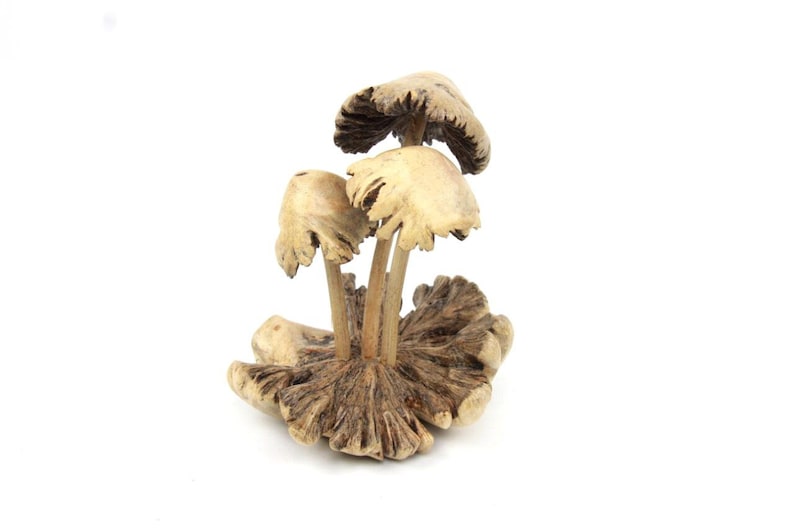 Wood Mushroom Sculpture